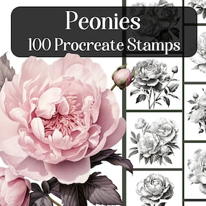 Peony stamp set with pink flower illustration and smaller grayscale peony brush designs