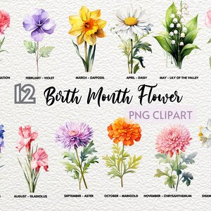 Watercolor birth month flower clipart set with labeled illustrated flowers