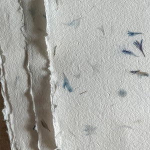 Handmade natural paper with blue cornflower petals, deckle edges and textured surface
