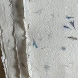 Handmade artisan Paper with blue cornflower petals, natural textured with deckle edges ethically produced with plant fibers & blue flowers
