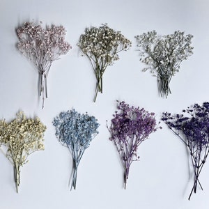 Dried pressed baby's breath flower bunches, assorted blue and purple tones