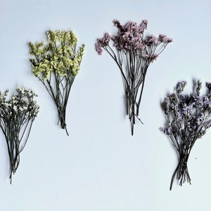 Dried Pressed Limonium Flowers - Various Colors | Bulk, Perfect for decors, weddings & more