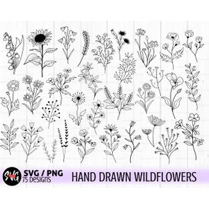 Hand-drawn wildflower line art bundle with flowers and leaves (SVG)