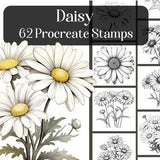 Daisy Procreate Stamps, 62 realistic floral Procreate brushes, reference images, flowers, botanical, plants, drawing