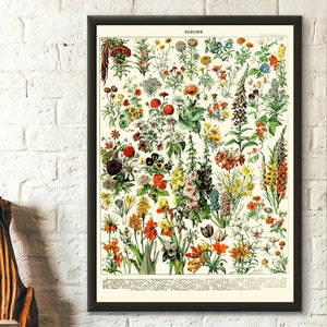 Framed botanical flower print poster with vintage wildflowers and butterflies