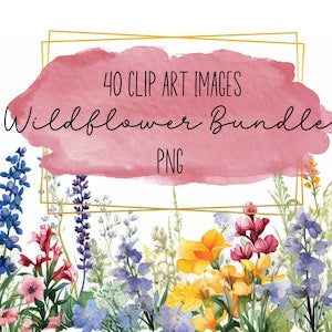 Wildflower PNG clip art bundle with watercolor wildflowers in pink, purple, and yellow
