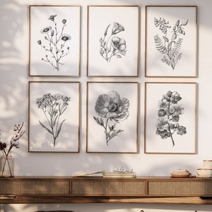 Set of 6 framed black-and-white botanical line art prints, flowers and leaves
