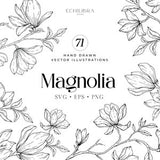 Magnolia Botanical Hand Drawn Vector Illustration, Clipart, SVG, Botanical Art, Magnolia Wreath, Commercial Use