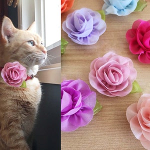Cat collar with chiffon roses; pink rose on cat, plus pink and purple chiffon rose pieces