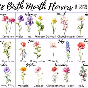 Watercolor birth month flowers clipart set with labeled PNG flower illustrations