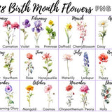 28 Birth Month Flowers Clipart, PNG, Set Watercolor, Watercolor Floral PNG, Birth Month Flower Kit Watercolor Clipart, Bundle for Birthday