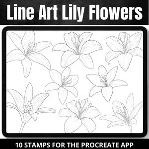 Lily flower line art stamp brushes for Procreate, set of 10 digital outline stamps