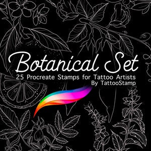 Botanical procreate stamp set with floral linework and leaves, 25 designs