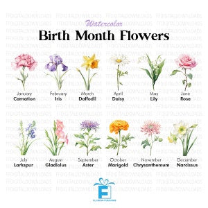 Watercolor birth month flowers clipart bundle with 12 labeled flowers, assorted colors