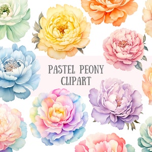 Pastel peony flower clipart bundle with watercolor-style blossoms, PNG elements
