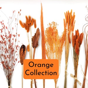 Orange dried flower bunches for fall decor