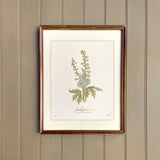 LARKSPUR, hand-drawn botanical art print, JULY birth flower