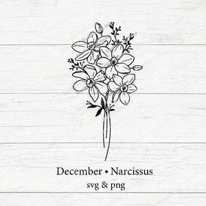 Line-art narcissus flower bouquet with leaves and thin stem, minimal black outline