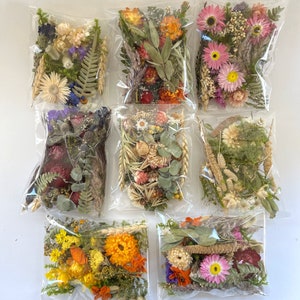 Dried flower craft pack with assorted preserved blooms and greenery in clear bags