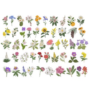 Machine embroidery flower design collection with assorted colorful state-flower illustrations