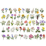 50 U.S. State Flowers Machine Embroidery Design, Flower Pattern Instant Download Zip -5 sizes