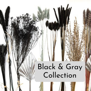Black and gray dried flower stems bundle with palm leaf accents