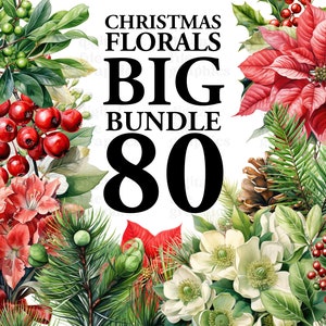 Christmas floral wreath and pine branch clipart bundle, pink flowers and berries collage