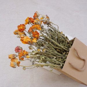 Dried peony flower bunch with orange blooms, cream and yellow accents, bundled stems