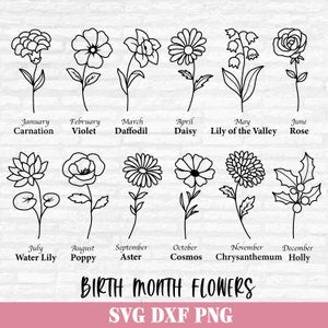 Botanical birth month flowers SVG set with labeled line-art daisies, roses, lilies, and more