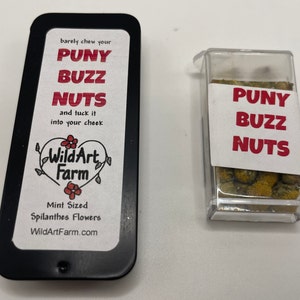 PUNY BUZZ NUTS herbal mint tin with blister pack of mints