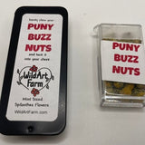 PUNY BUZZ NUTSª- breath mint size Spilanthes flowers - Herbal Buzz Button Mints