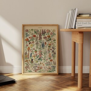 Framed botanical floral chart poster with vintage-style multicolor flowers and labels