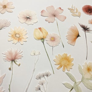 Pack of 18 edible wafer pressed flower shapes in pastel colors, flat die-cut assortment