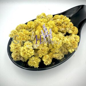 Loose Helichrysum herbal tea with yellow dried everlasting flowers in a black spoon