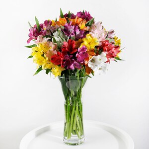 Multicolor alstroemeria stems bouquet in clear glass vase