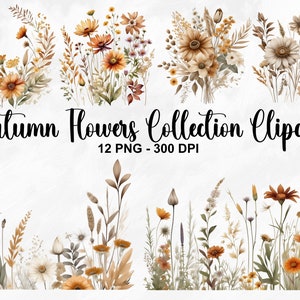Watercolor autumn wildflower clipart set with flowers and stems, warm fall tones, 12 PNGs