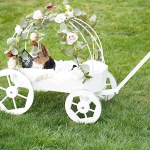 White wooden baby wagon with floral decorations and curved handle, flower girl wagon