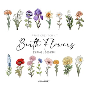 Watercolor birth month flower clipart bundle, 23 PNG watercolor flower set