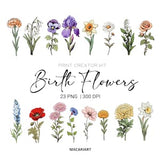 Watercolor Birth Month Flowers Clipart Bundle Digital Watercolor Birth Flower Clipart Watercolor Floral Clipart Flower Png Commercial Use