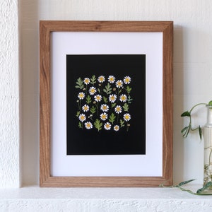 Pressed flower print in wooden frame, white daisy cluster on black mat