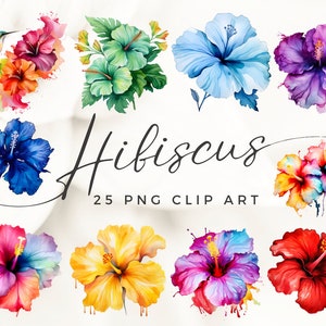 Hibiscus flower clip art set featuring multi-colored tropical blooms
