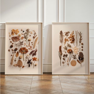 Set of two beige botanical herbarium poster prints with dried flowers and leaves