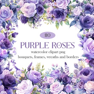 Watercolor purple rose clipart wreath with floral border and bouquets, PNG set