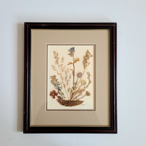 Vintage pressed wildflower botanical wall art in wooden frame, dried flowers illustration