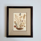 Vintage 1980s framed pressed dry Canadian wild flowers wall art in wooden frame. Alberta wild flowers. Signed by artist. Botanical art.