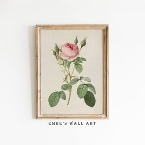 Framed vintage rose wall art print with pale pink bloom and green leaves in a wood frame