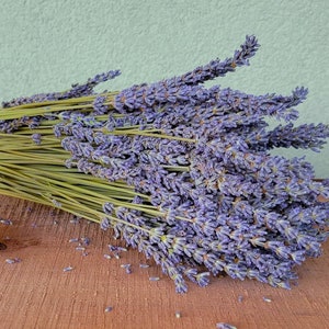 Dried lavender bunches with purple buds and long green stems, hand-tied look