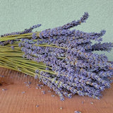 Organically Grown Dried Phenomenal Lavender Bunches, Handpicked from Love'nder Acres Lavender Farm in Grand Forks, BC.