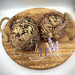 Dried Jericho rose whole plant with curled tan and green fronds