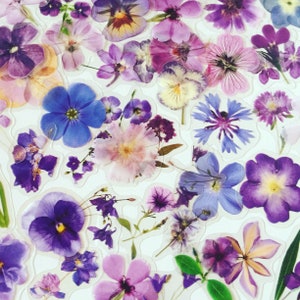 Purple and pink wildflower blossom stickers sheet with multiple dried-flower blooms
